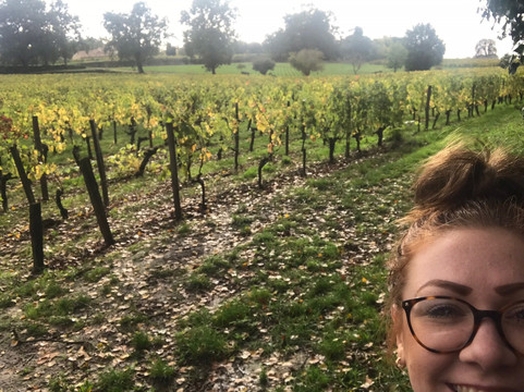 乡村酒庄之旅-波尔多必去景点