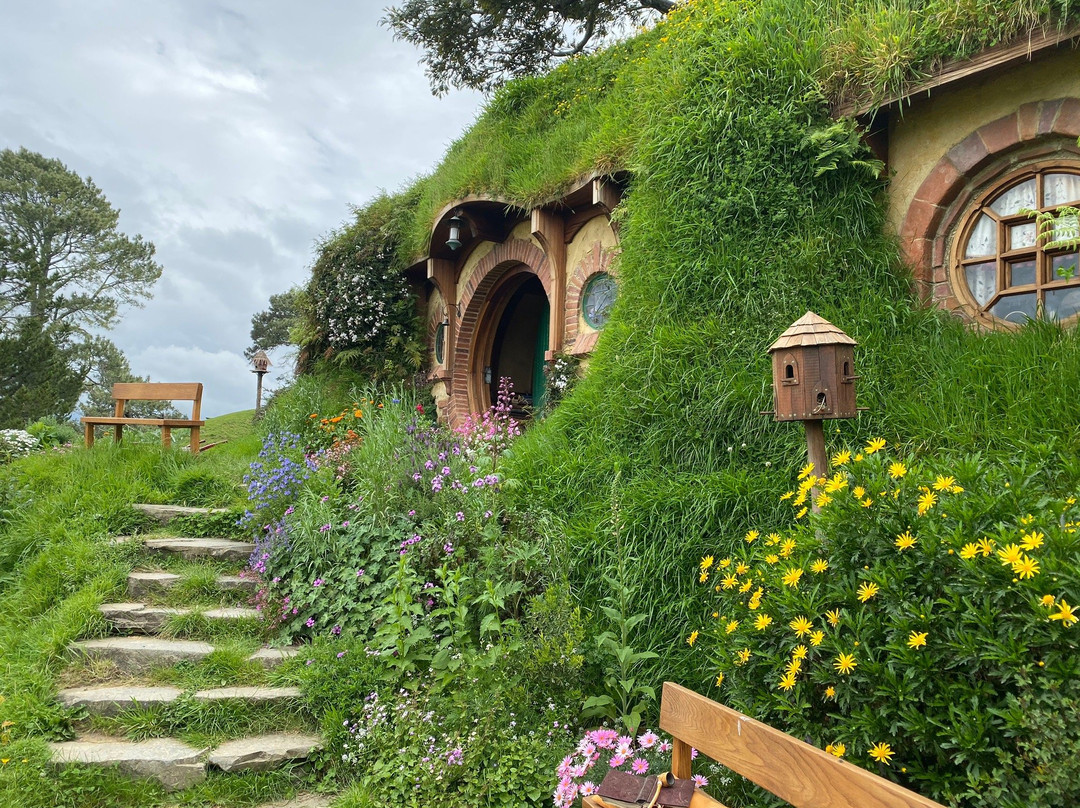 Carrington Tours & Transfers-汉密尔顿必去景点