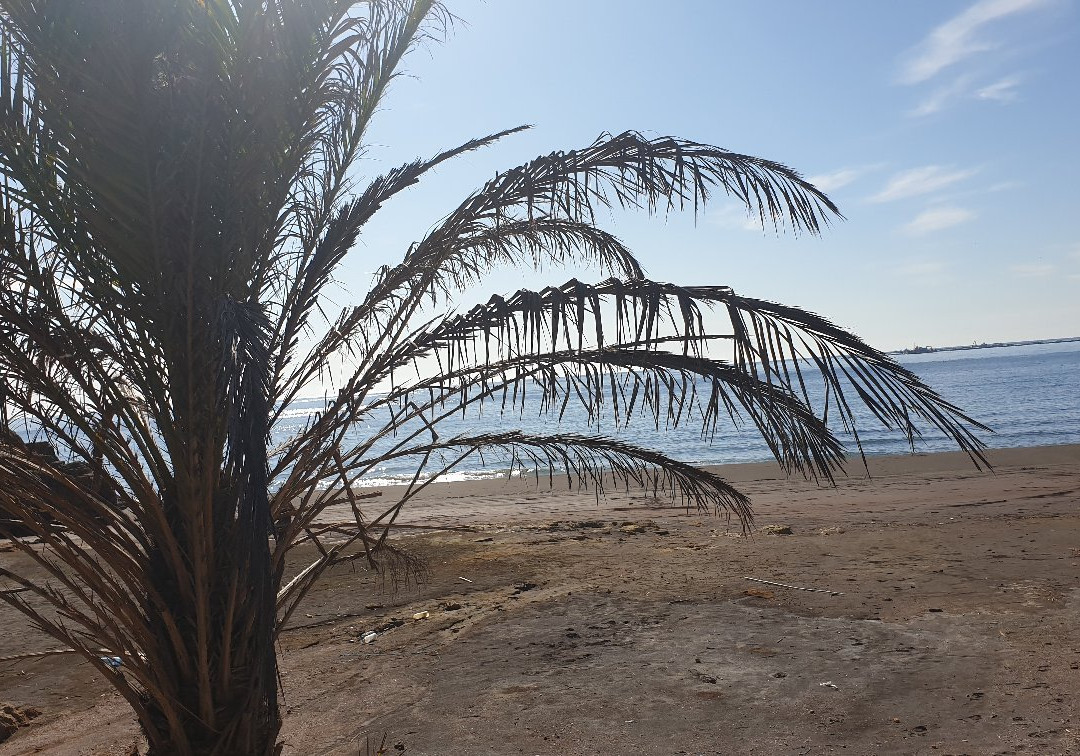 Playa Cola del Caballo景点图片
