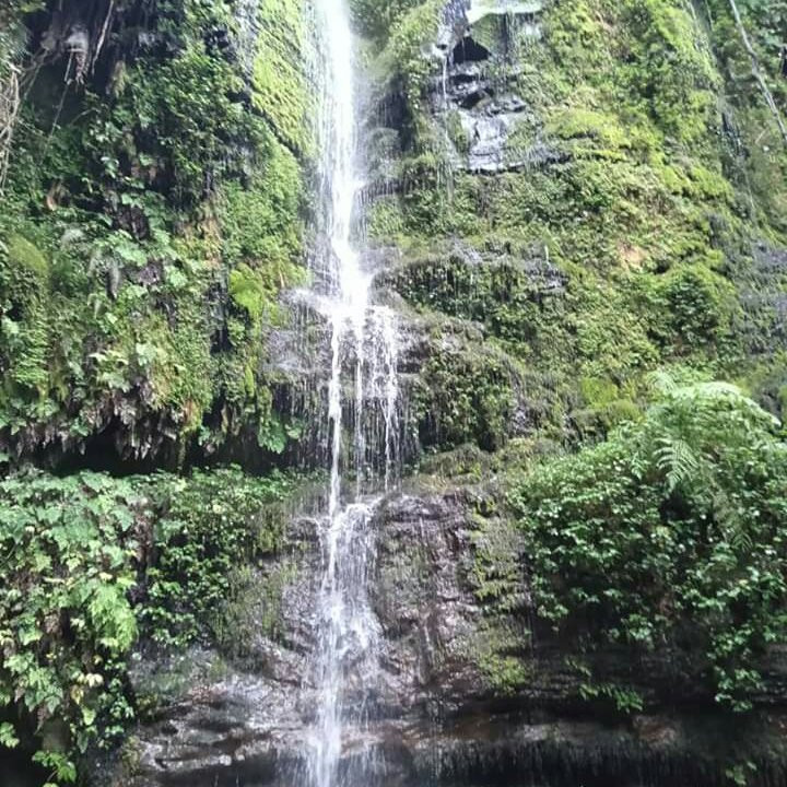 Tanzania Expeditions-阿鲁沙必去景点