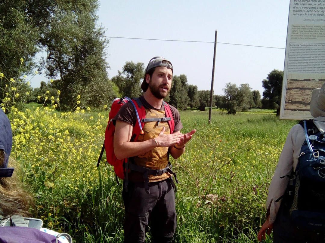 Puglia Private Tours