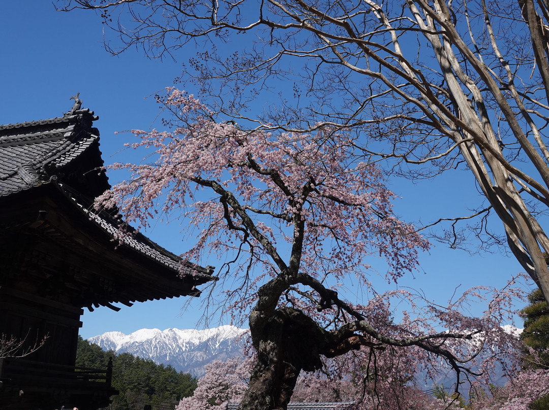 Zoutakuji Temple景点图片