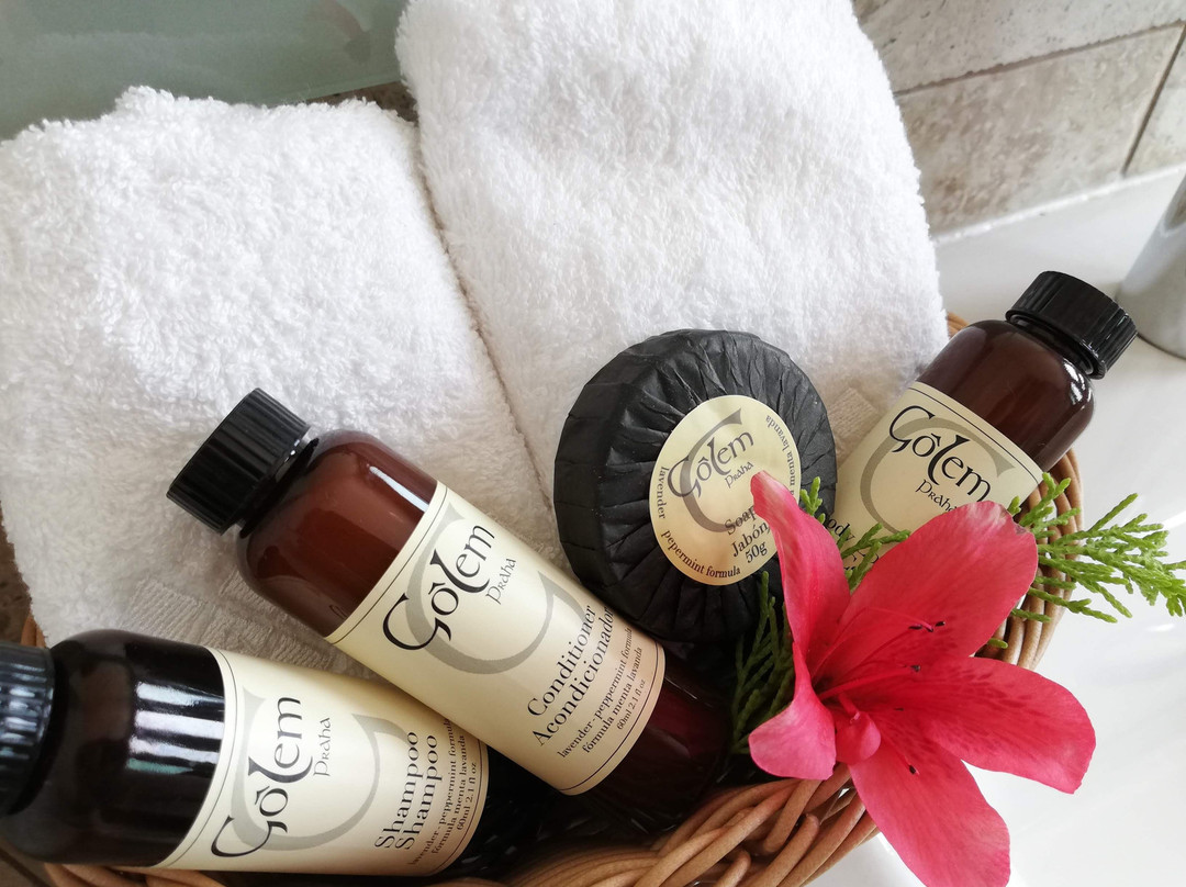 Hacienda Maxda主图