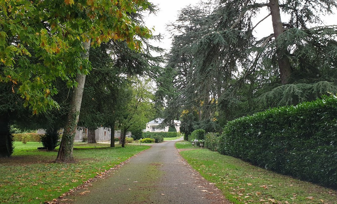 Les Mazeraies B&B主图