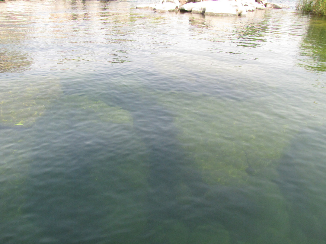 Jazirat al Malik-亚斯文必去景点