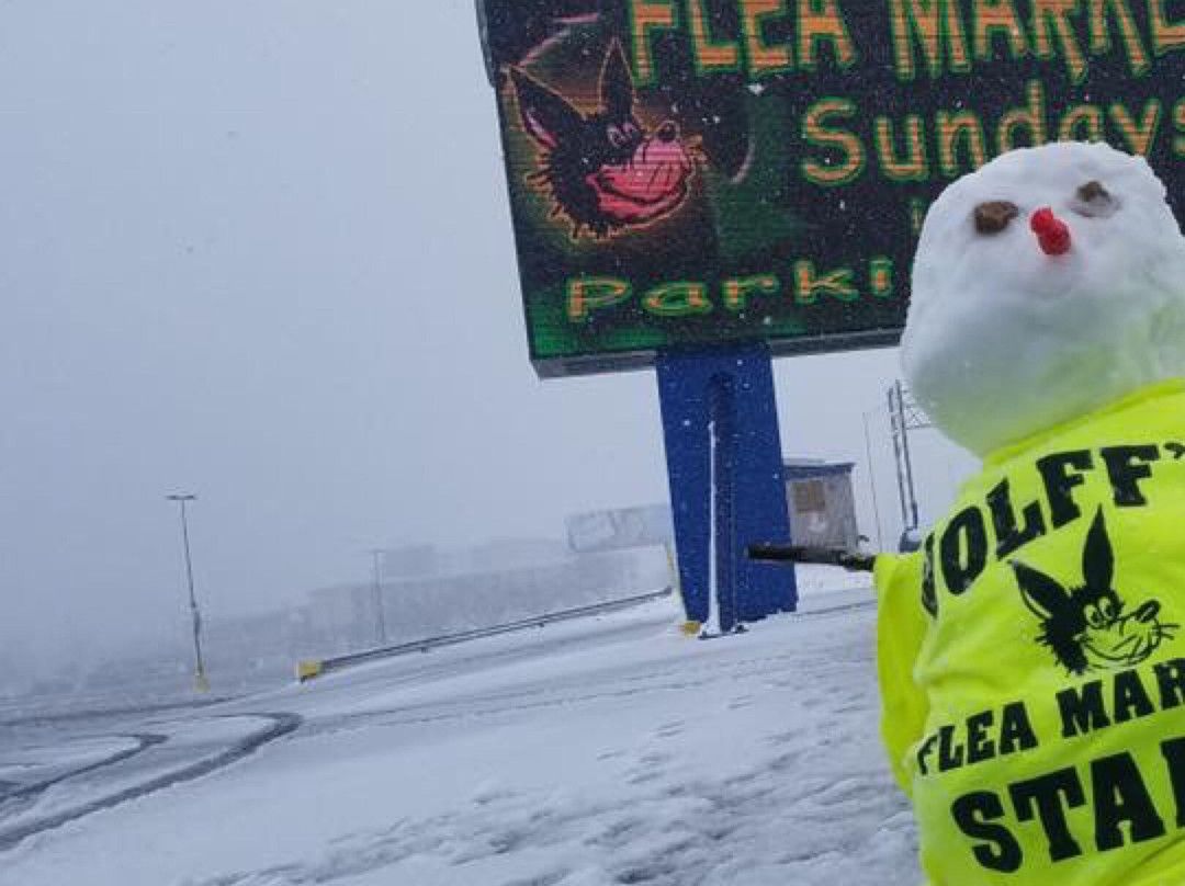 Wolff's Flea Market-罗斯蒙特必去景点