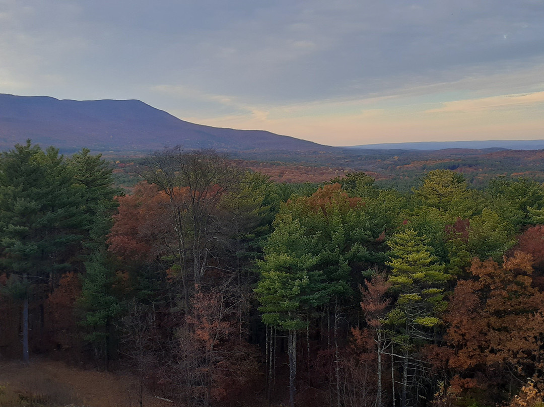 The George Ellen Bed and Breakfast主图