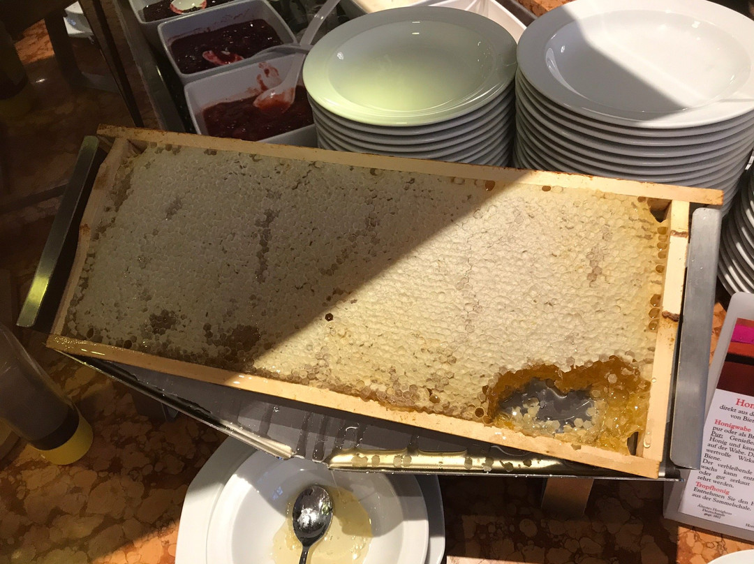 贝斯特韦斯特酒店主教宫店主图