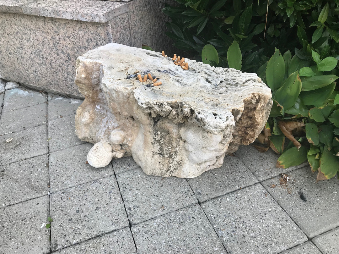 Hotel Izvir主图