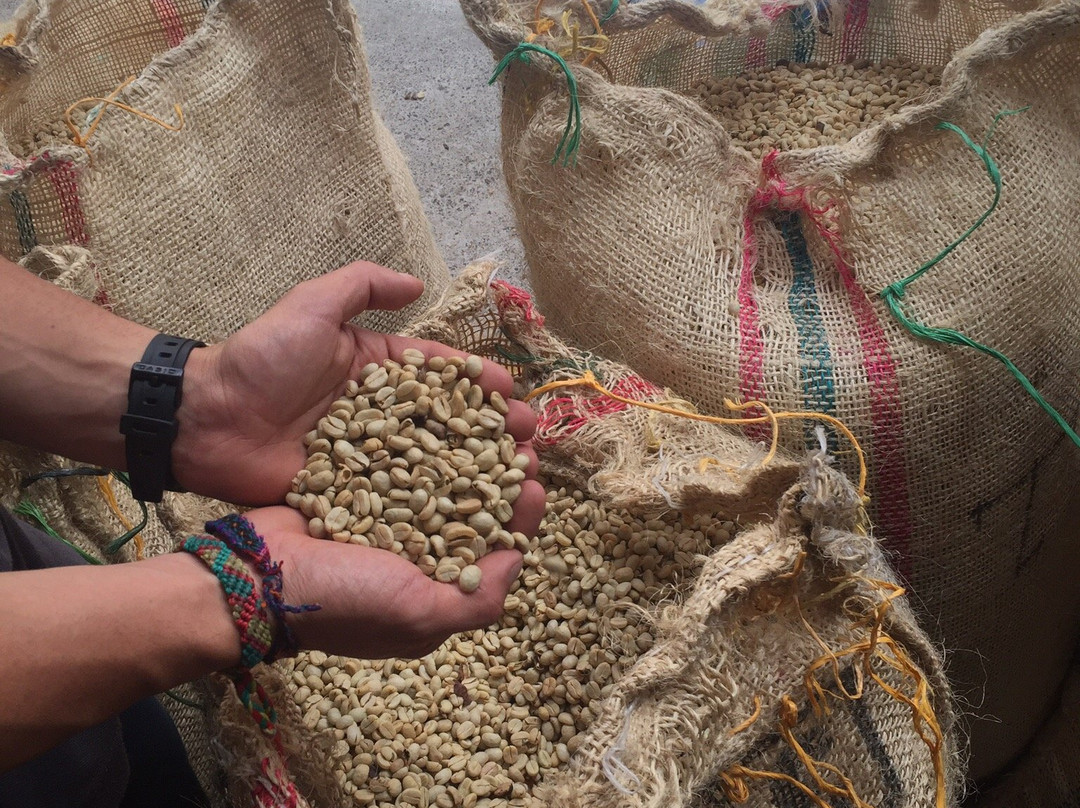 Hacienda Venecia Coffee Farm-Manizales必去景点