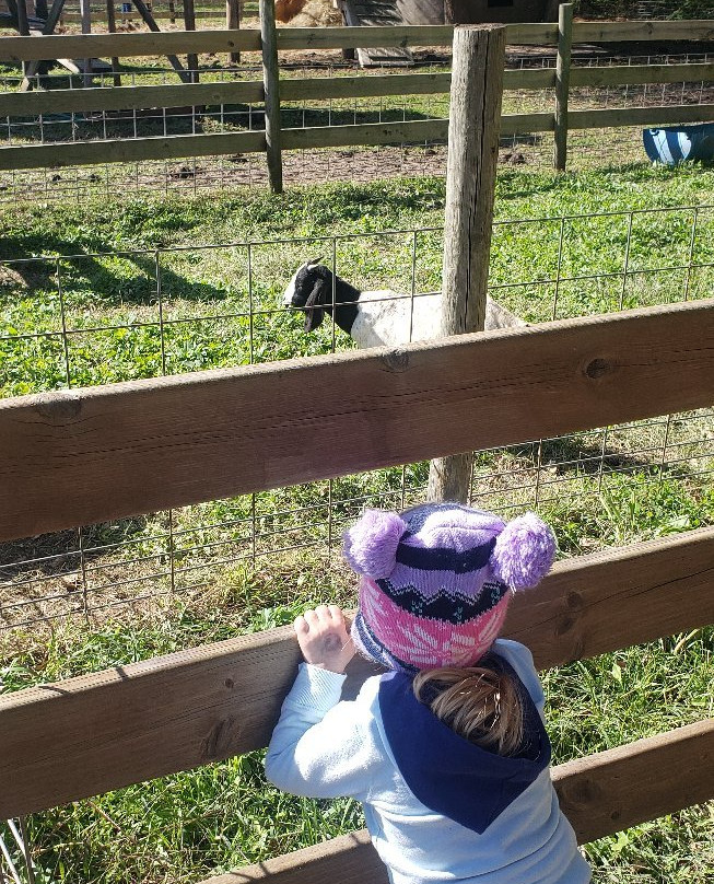 Roca Berry Farm-Roca必去景点