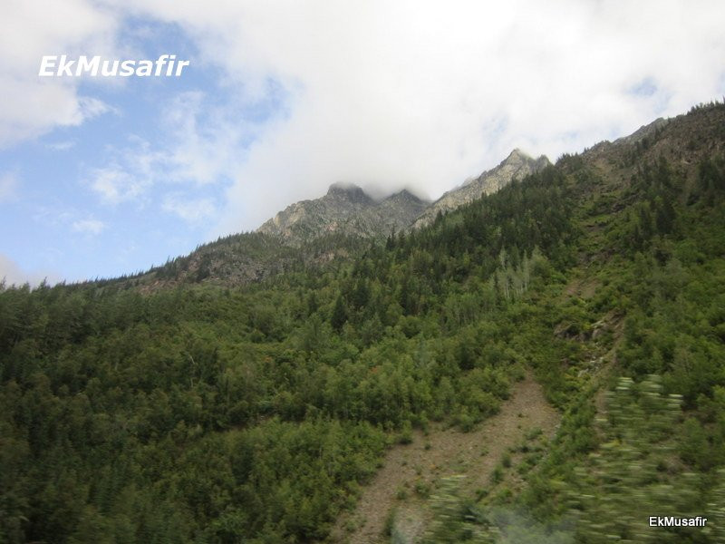 Roger's Pass Summit景点图片