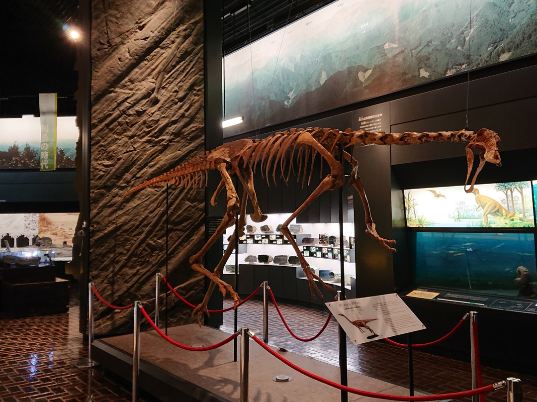 Saitama Museum of Natural History-长瀞町必去景点