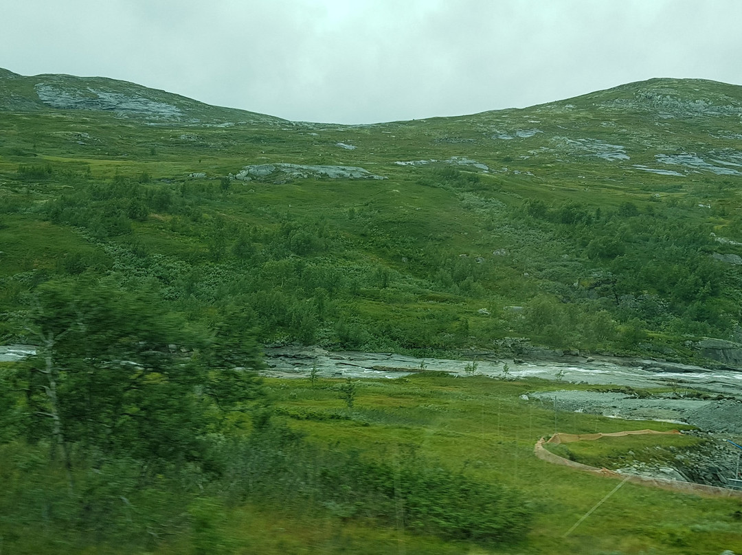 Hardangervidda Nasjonalpar景点图片