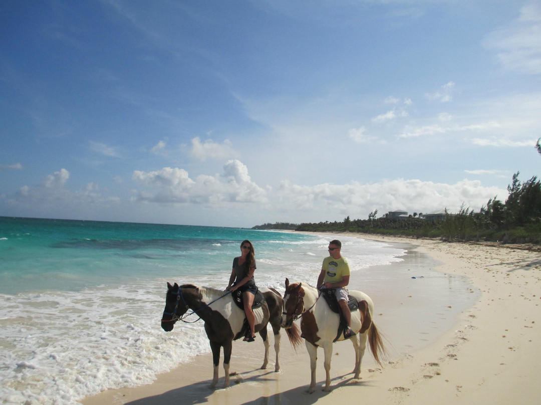 Oceanview Farm-Governor's Harbour必去景点