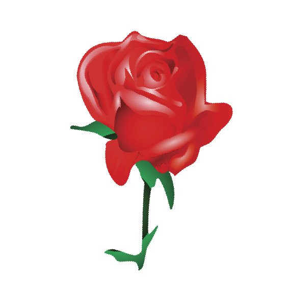 Infinity Holidays Tour and Safaris-Kigamboni必去景点