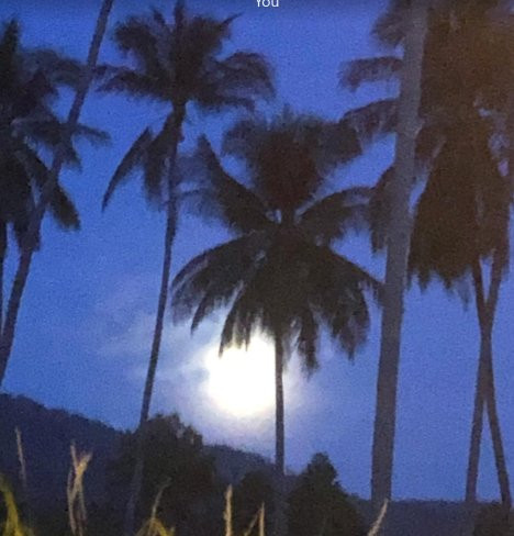 Orion Retreat Koh Samui-曾蒙海滩必去景点