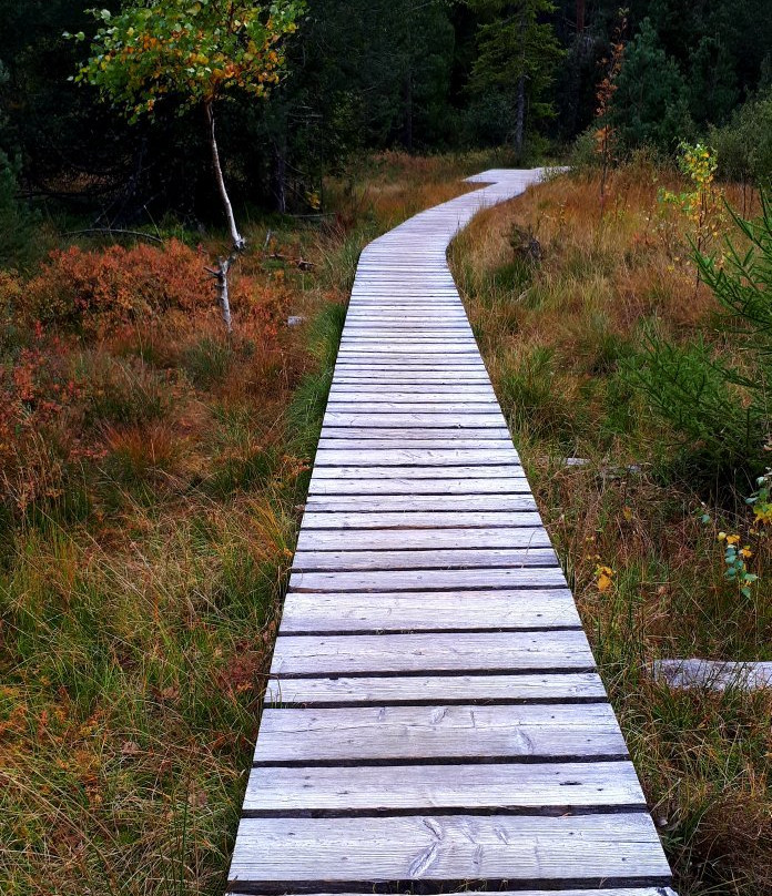 Berghotel Schiller主图