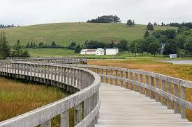 Rissers Beach Provincial Park景点图片