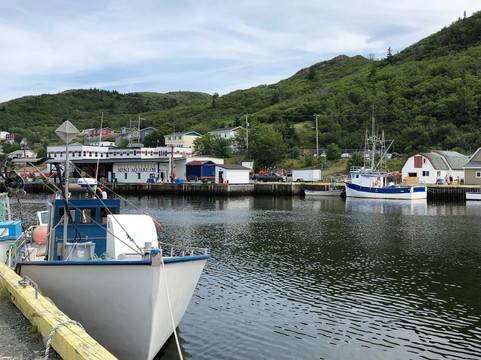 Ann's Tours - Day Tours-Conception Bay South必去景点