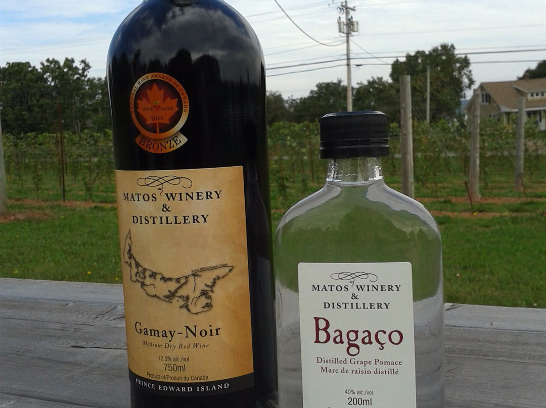 Matos Winery & Distillery景点图片