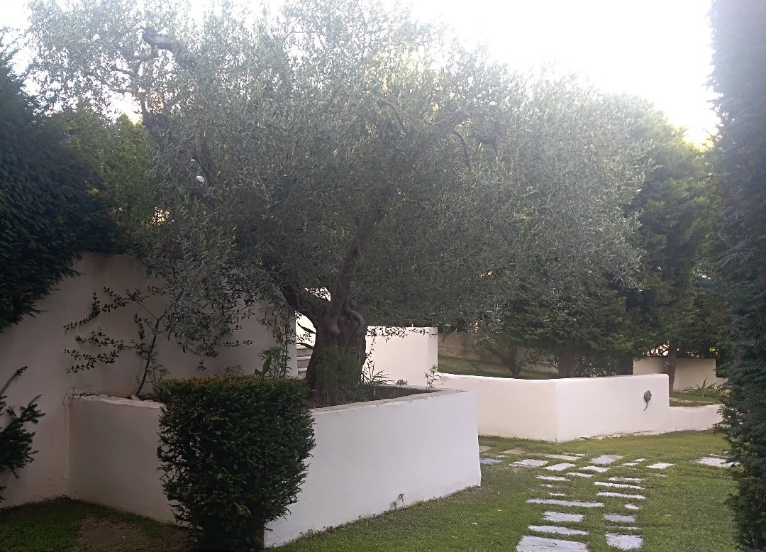 Kassandrino酒店住宿-Giga Mar