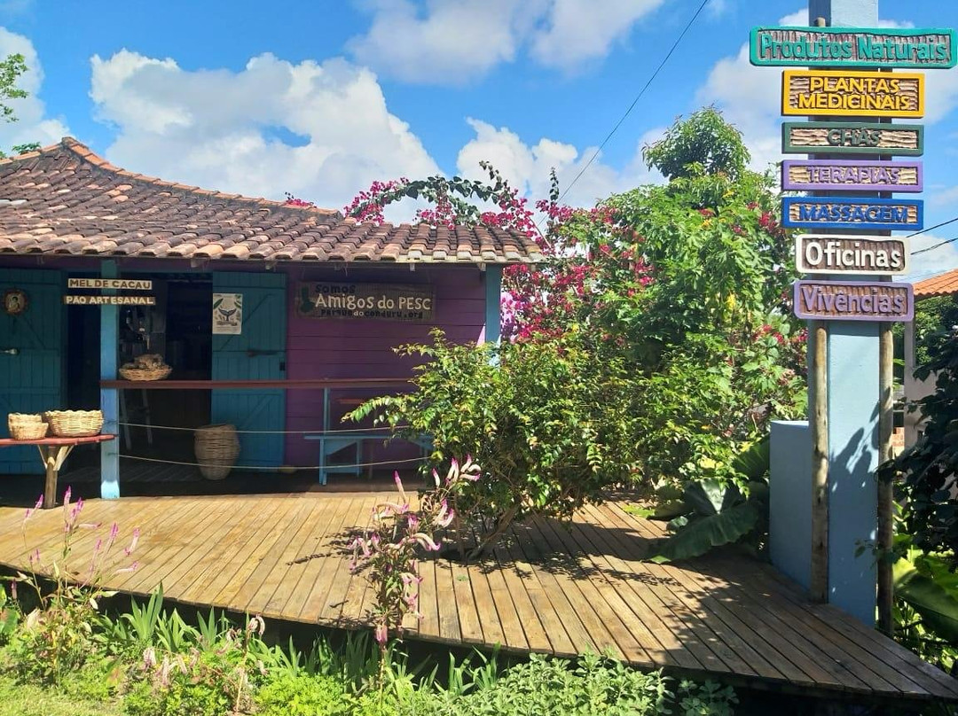 Folha Santa - Produtos Naturais-巴西利亚必去景点