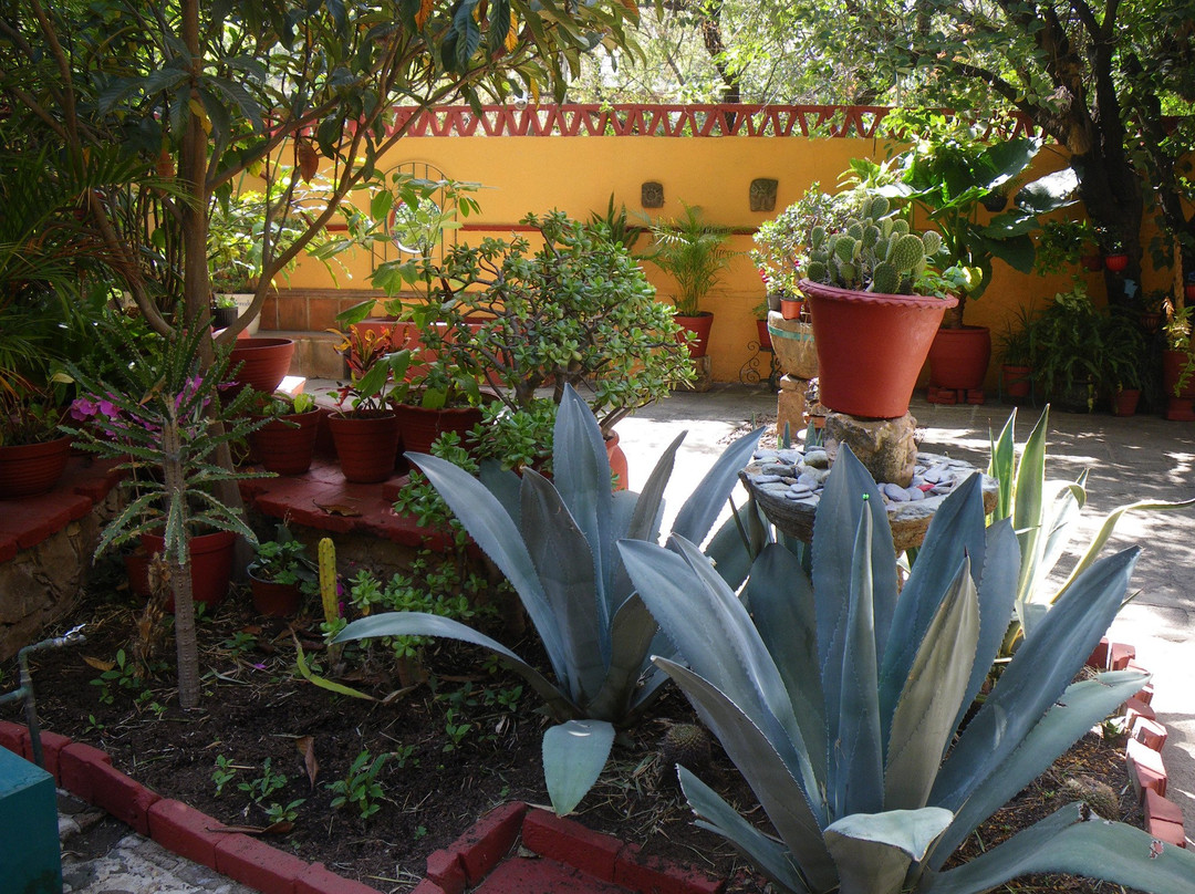 Museo Olga Costa Jose Chavez Morad景点图片