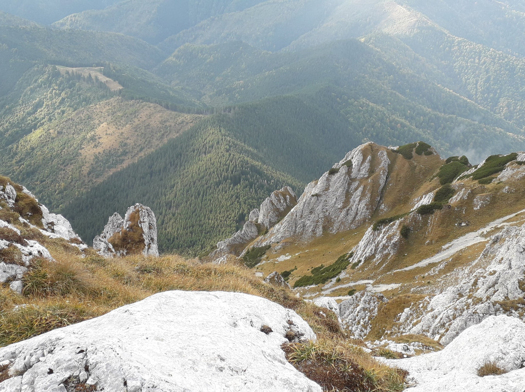 Piatra Craiului National Park景点图片