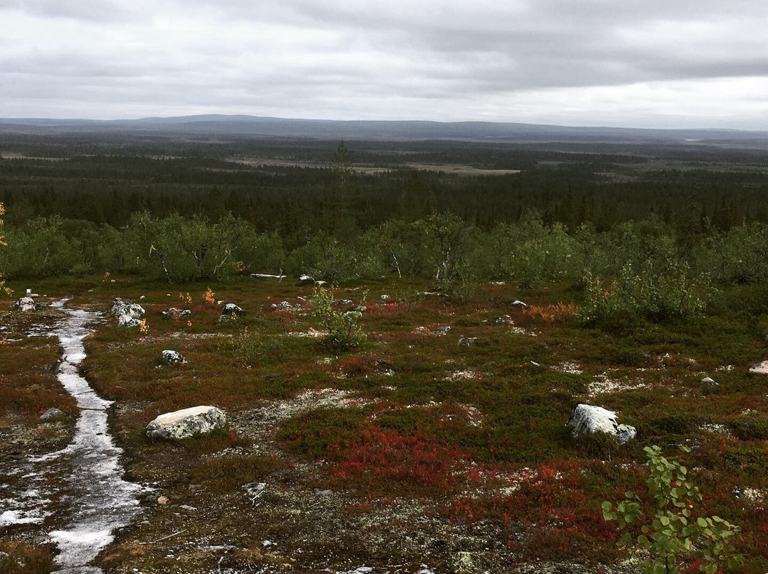 Pulju Wilderness Area-Enontekiö必去景点