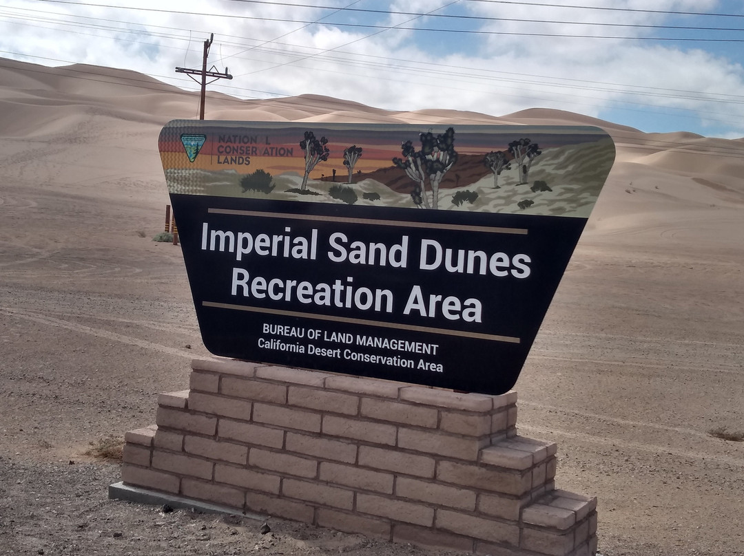 Imperial Sand Dunes-Niland必去景点