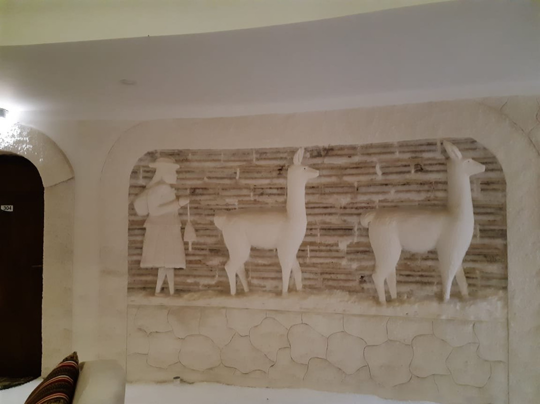 萨尔水晶萨马纳酒店主图