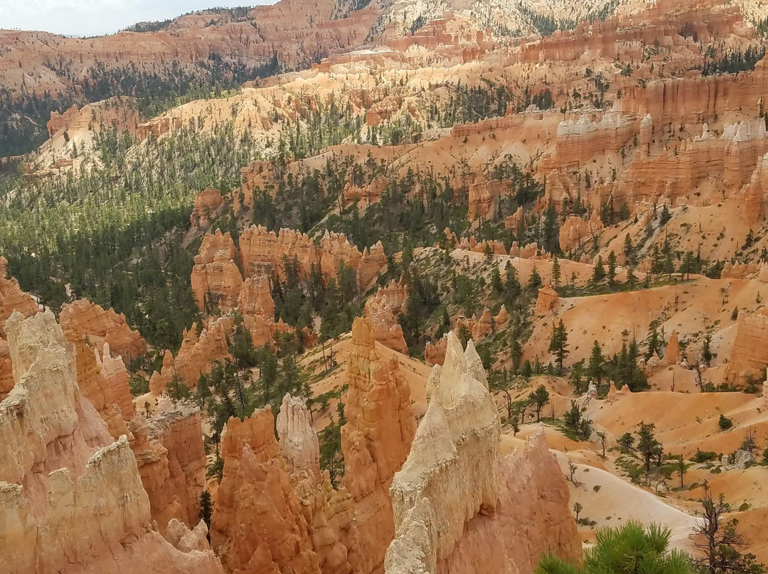 Top Canyon Tours-拉斯维加斯必去景点