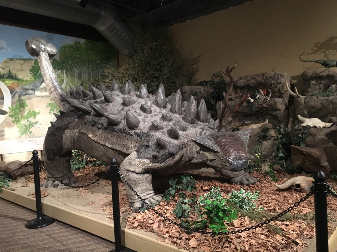 Glendive Dinosaur & Fossil Museum景点图片