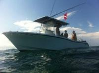 Reel Paradise Charters - Tours-拉哥岛必去景点