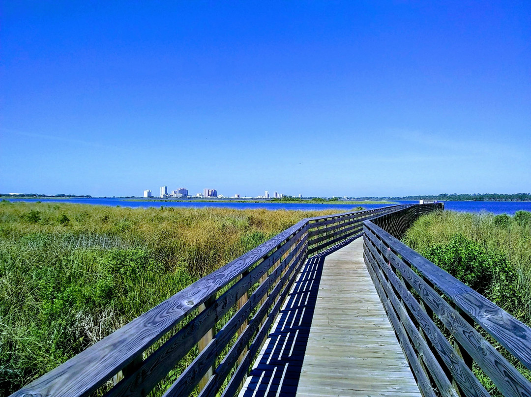 Pedego Electric Bikes Orange Beach-橙色海湾必去景点