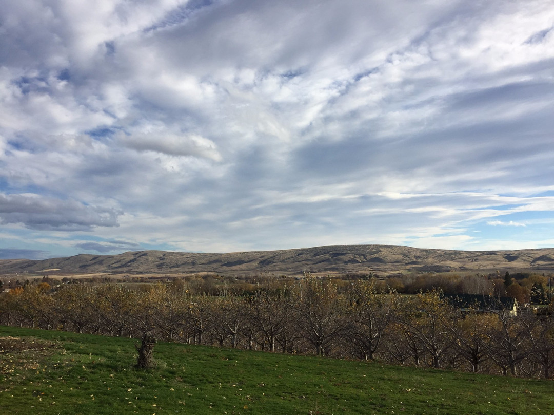 Cowiche Canyon Trail景点图片