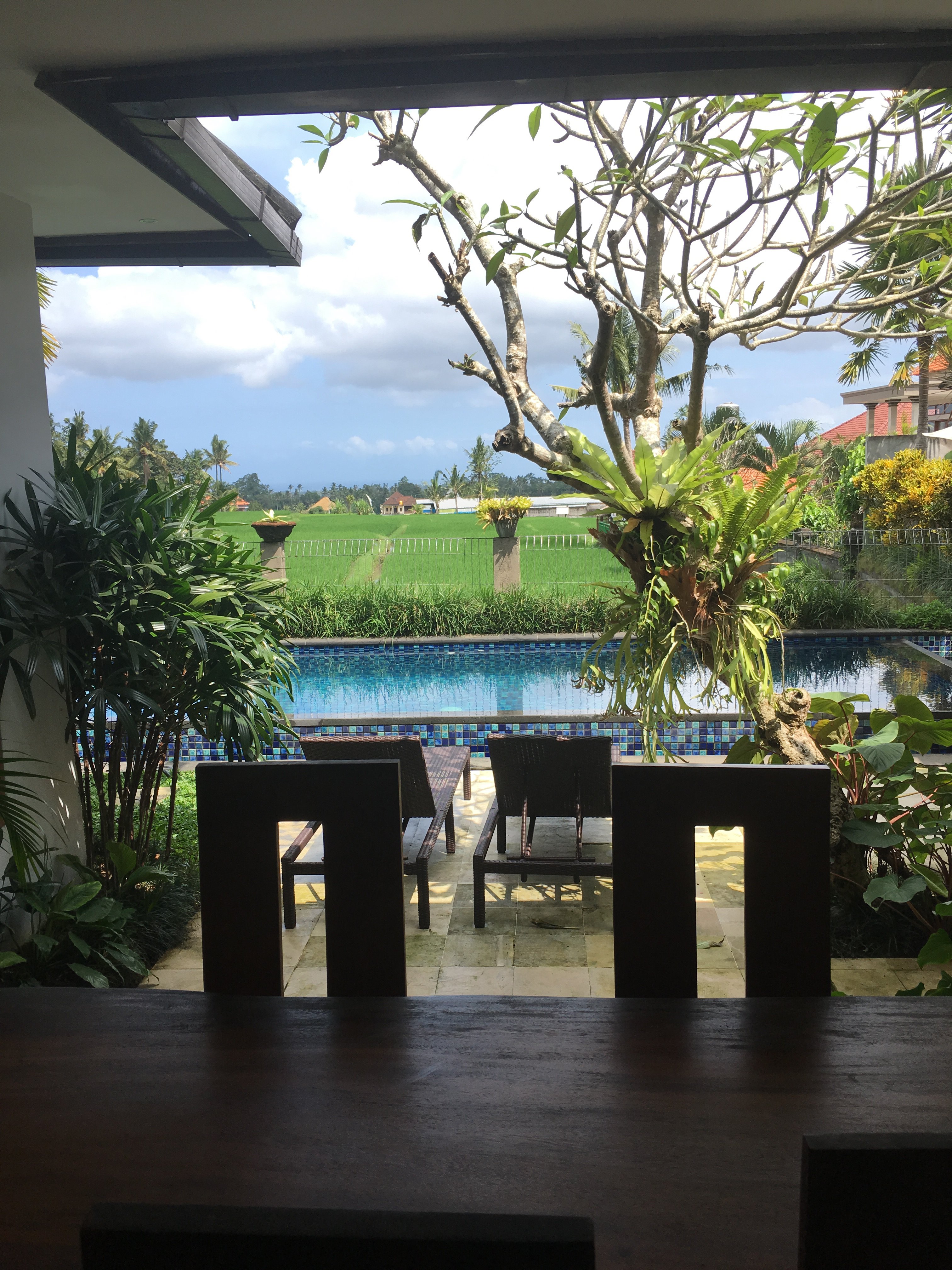 Agung View-泳池