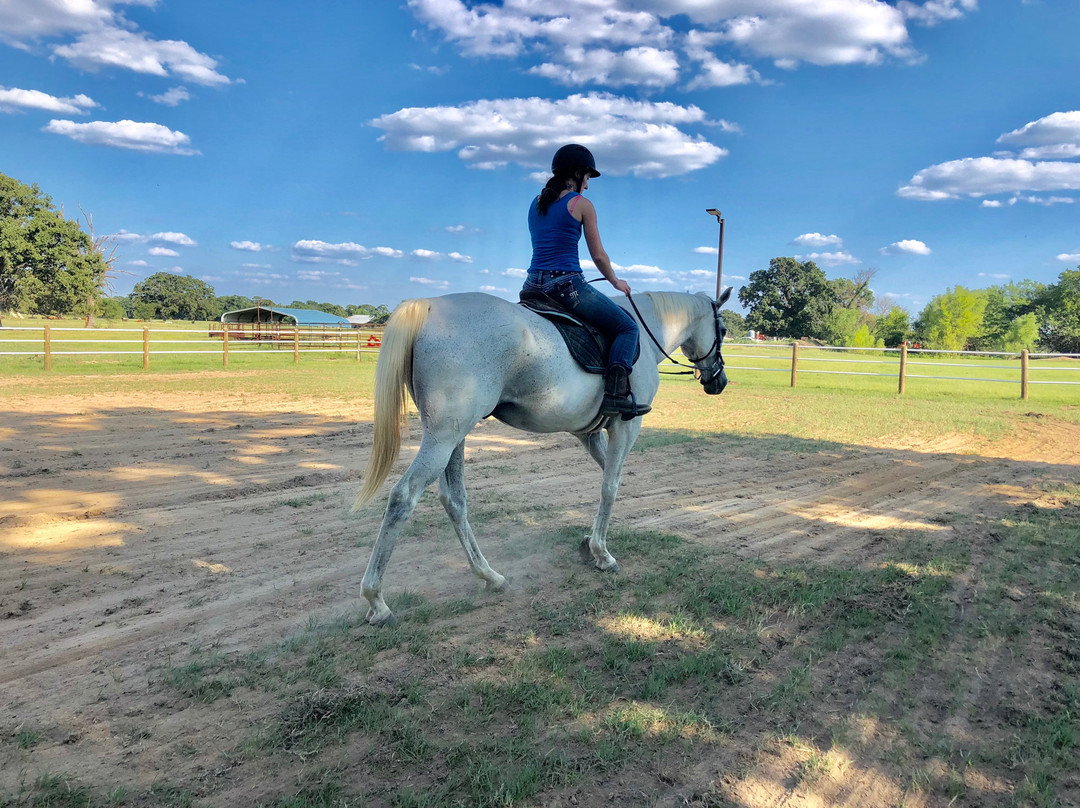 Lake Fork Stables-Yantis必去景点