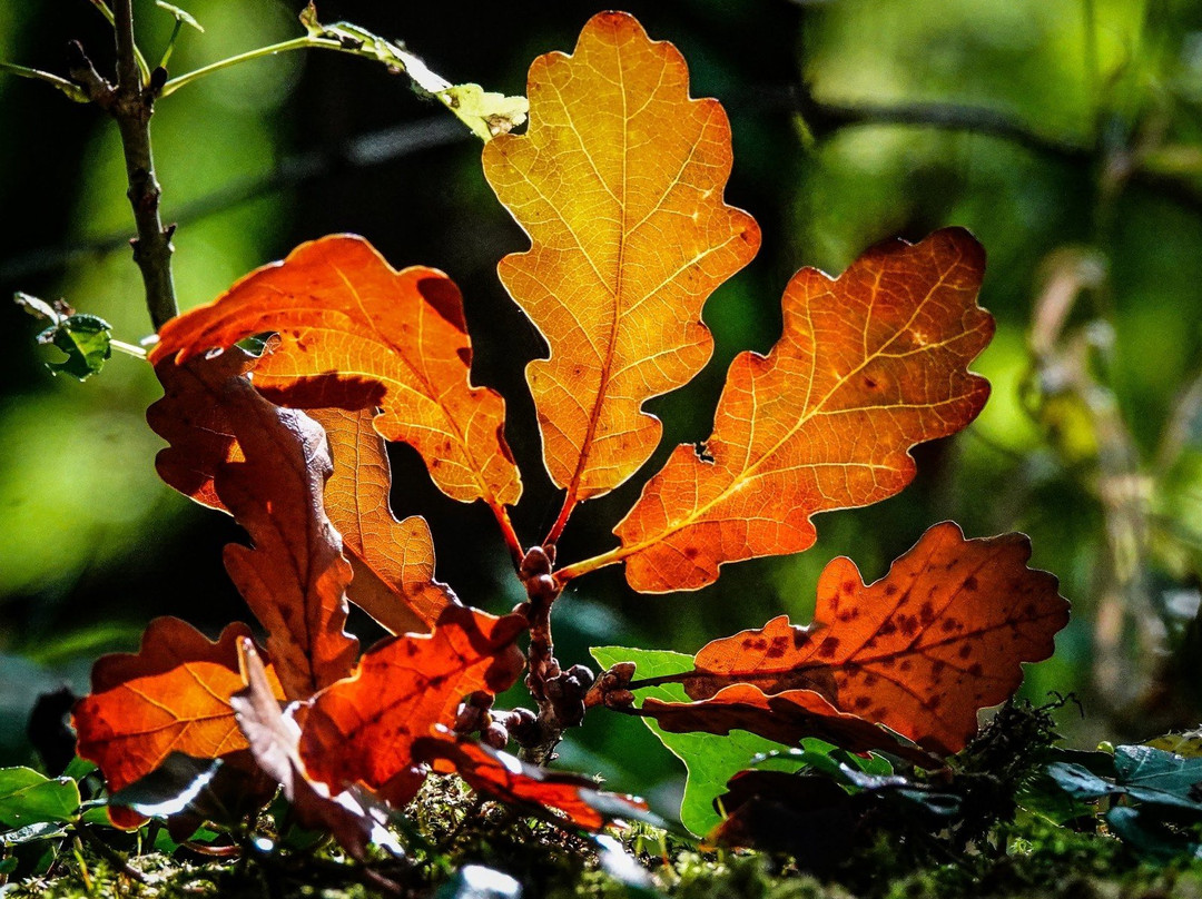 Hill Top Slaithwaite Reservoir-Slaithwaite必去景点