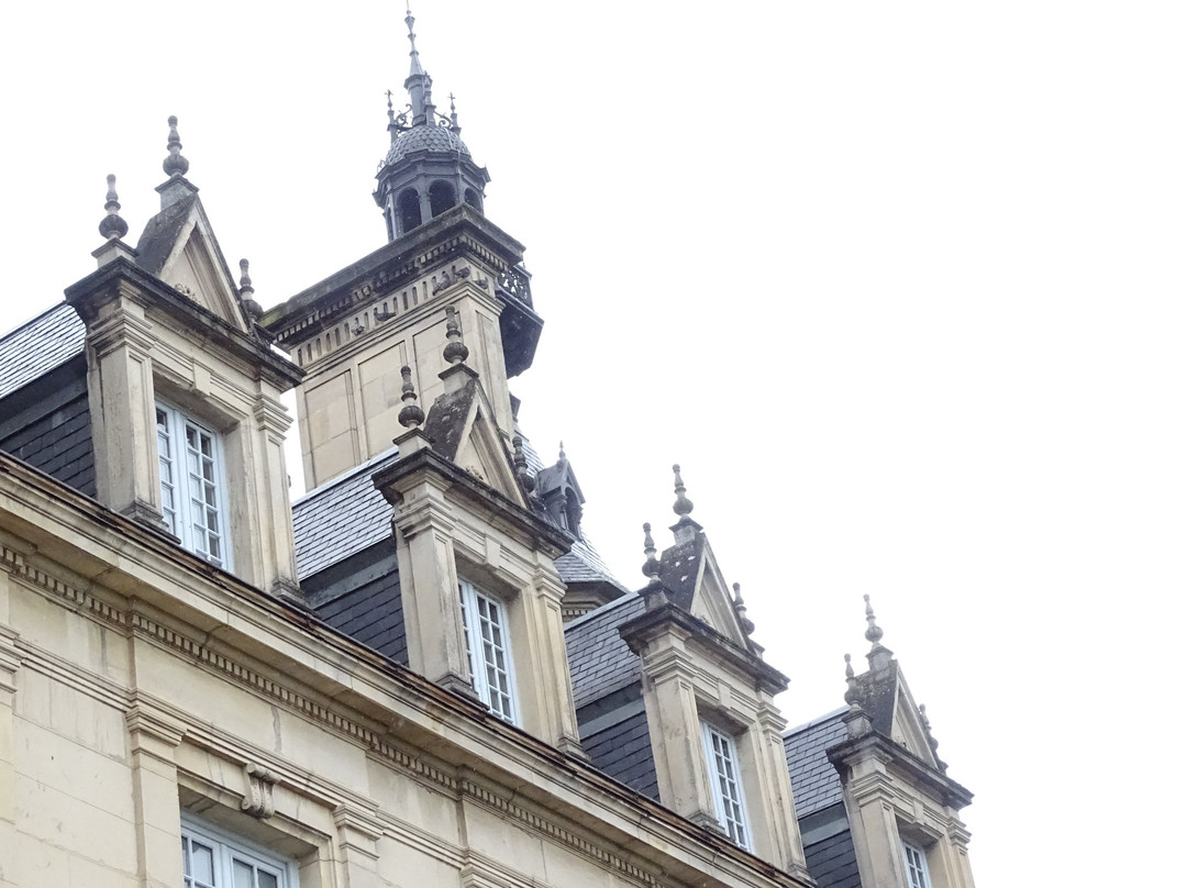 Château de Brochon景点图片