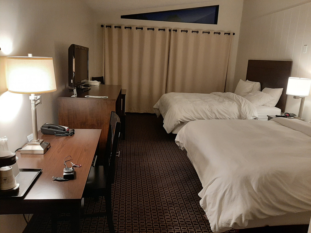 Nader's Motel & Suites主图