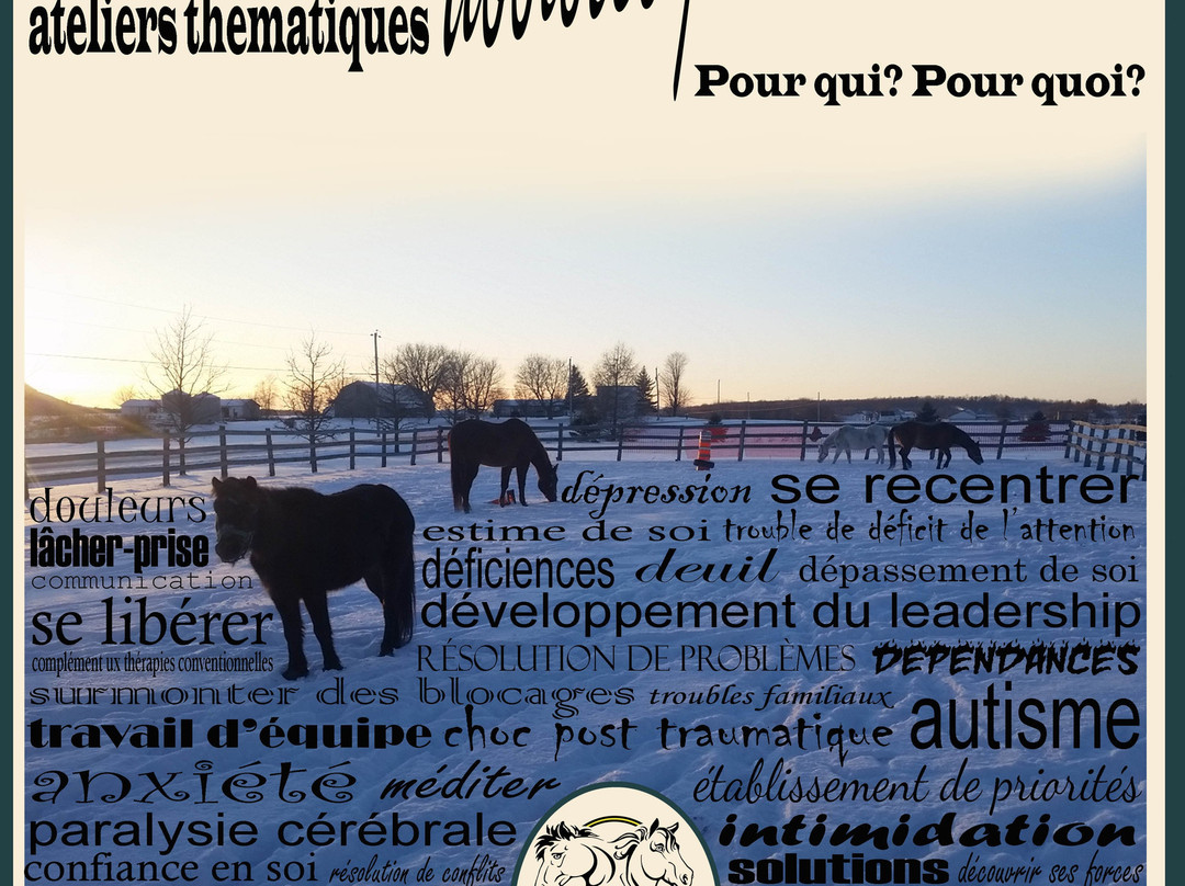 2024年8月SainteCeciledeMilton旅游景点攻略SainteCeciledeMilton旅游住宿