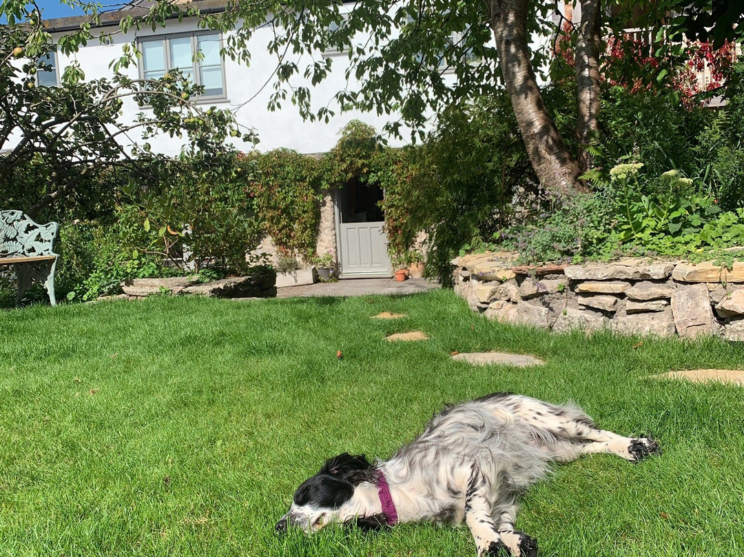 Westbury Cross House主图