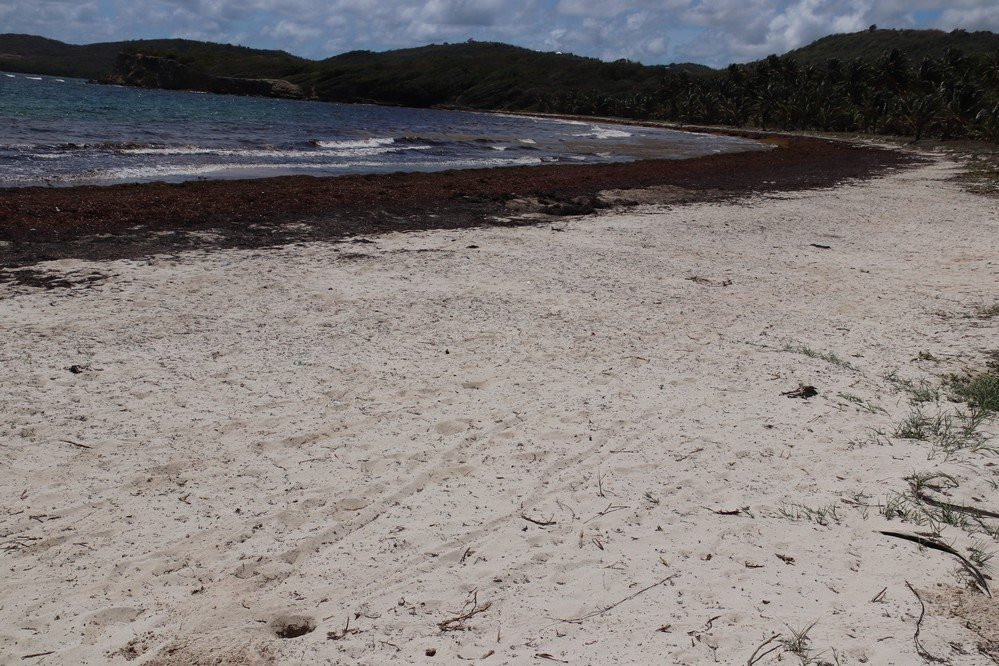 HOTEL CAP MACABOU主图