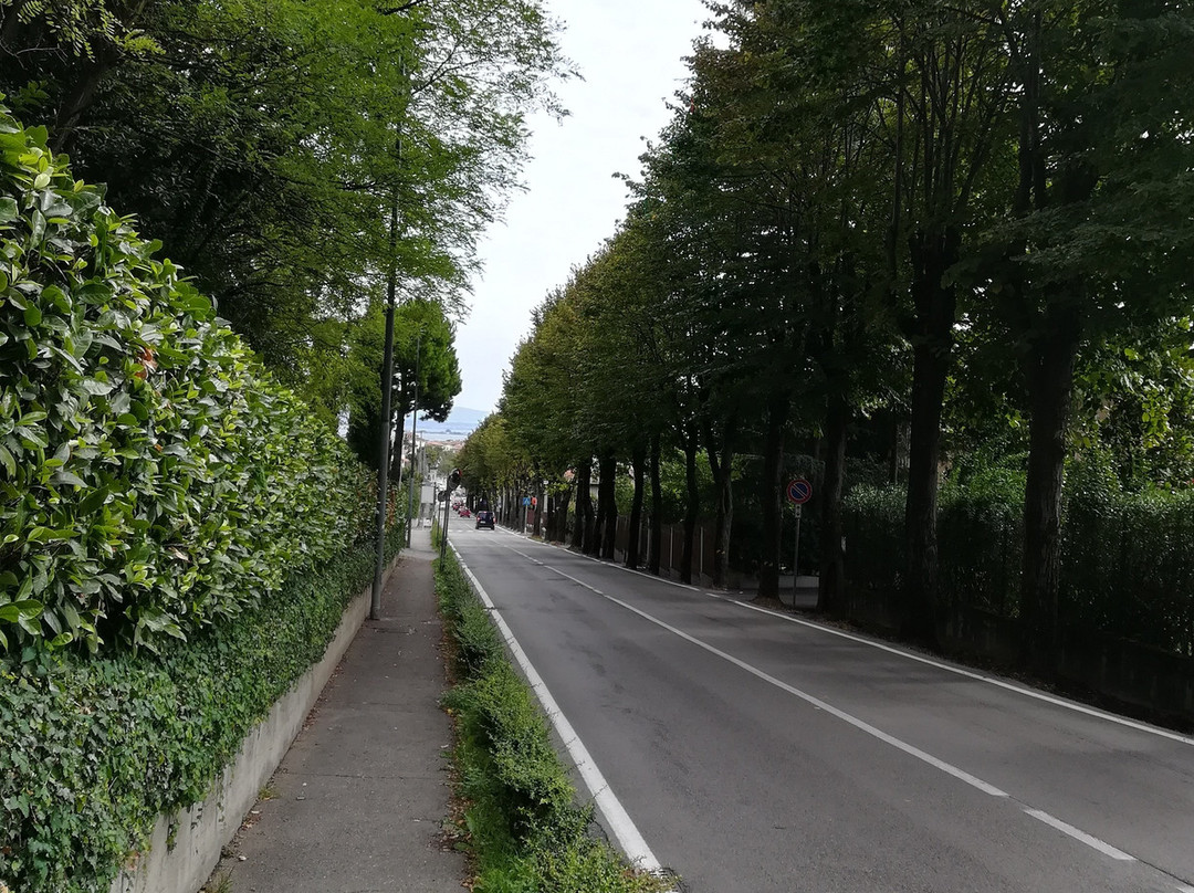 Azienda Agricola e Frantoio Montecroce-代森扎诺-德尔加达必去景点