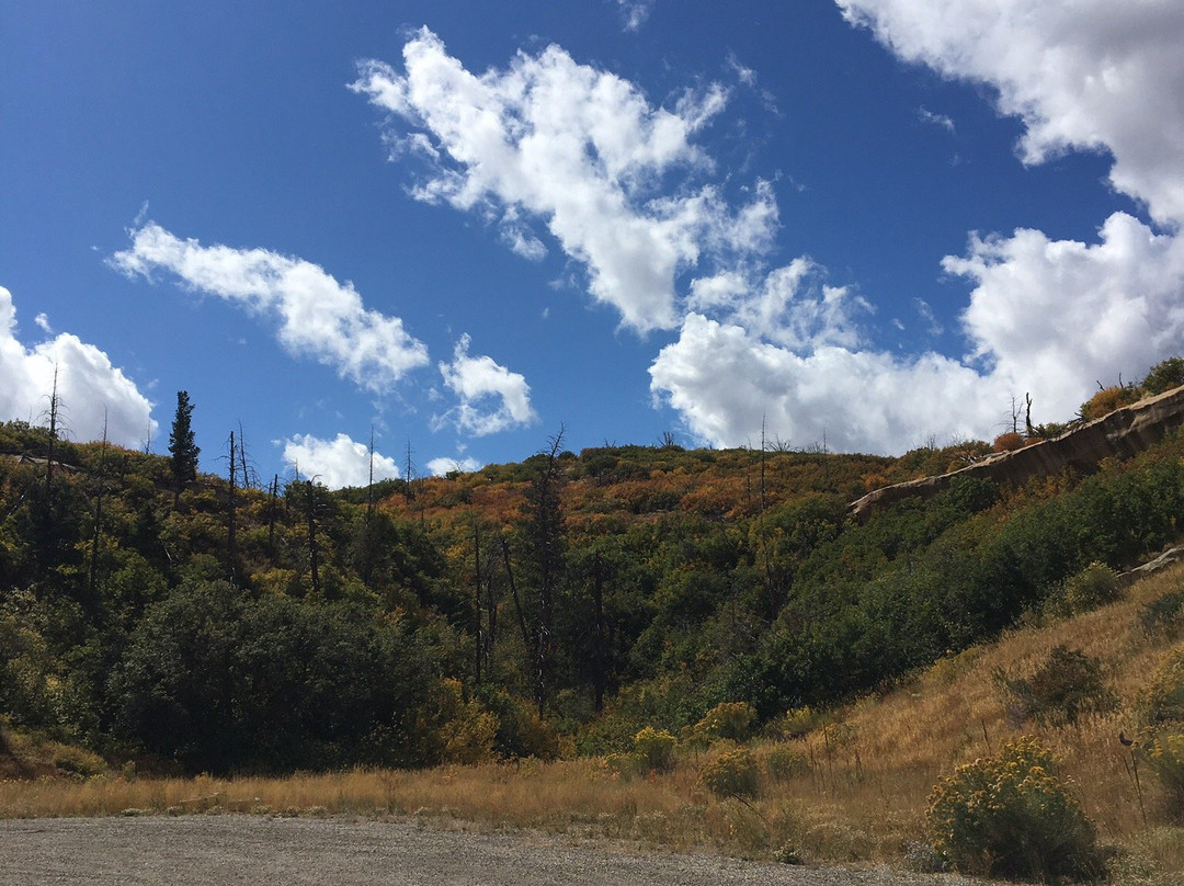 Ruins Road-梅萨维德国家公园必去景点