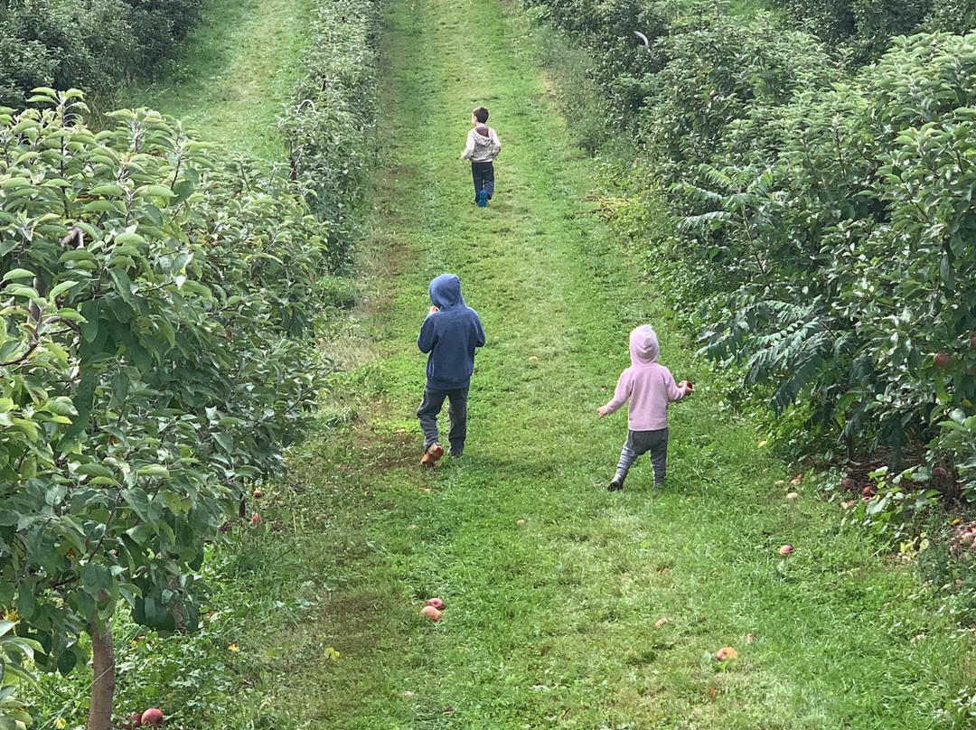 Pine Farms Orchard-King City必去景点