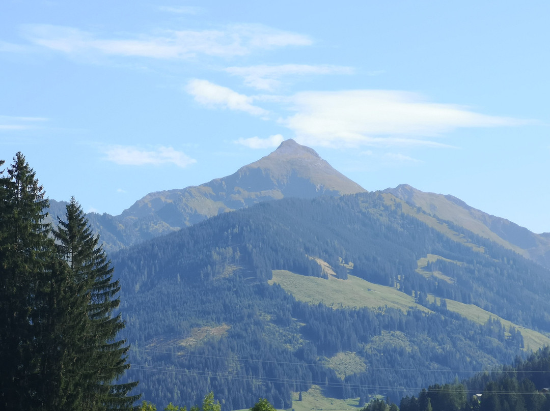 Wiedersbergerhornbahn-高山溪必去景点