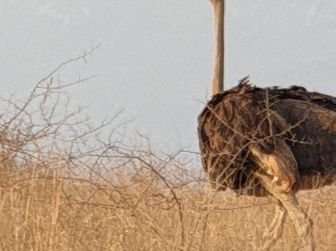 Buffalo Hills Safari Lodge主图